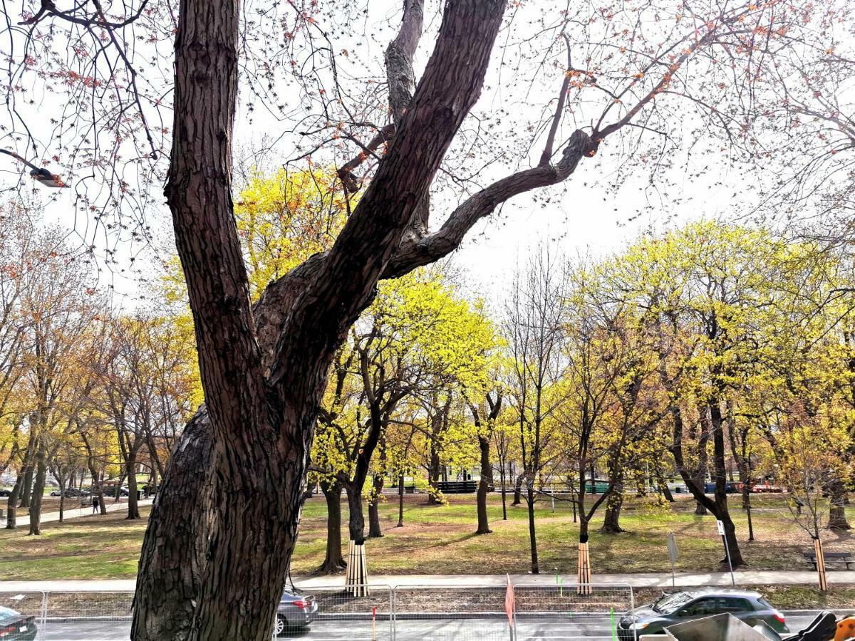 Accueil Chez Francois Panzió Montréal Kültér fotó